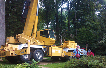 Crane Services