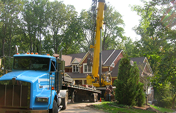 Crane Services