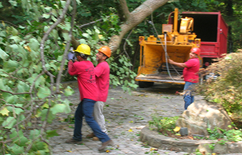 Storm Damage