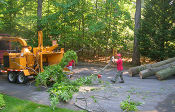 Storm Damage