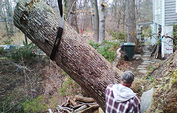 Storm Damage