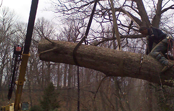 Storm Damage