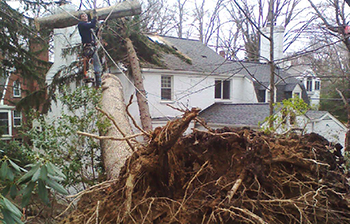 Storm Damage