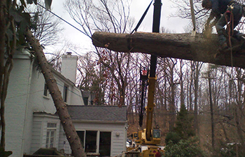 Storm Damage