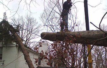 Storm Damage