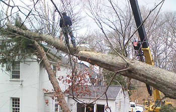 Storm Damage