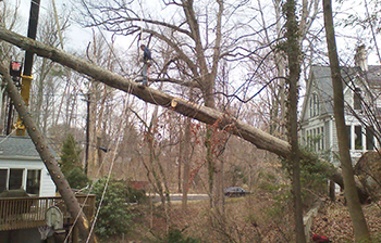 Storm Damage