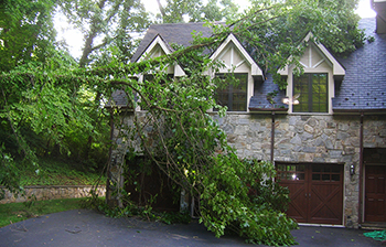 Storm Damage