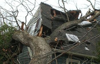 Storm Damage