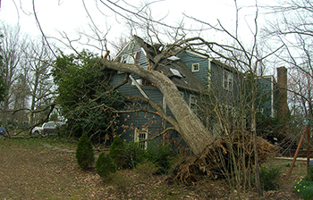 Storm Damage