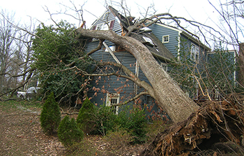 Storm Damage