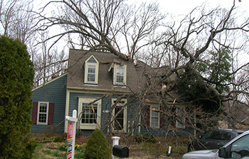 Storm Damage