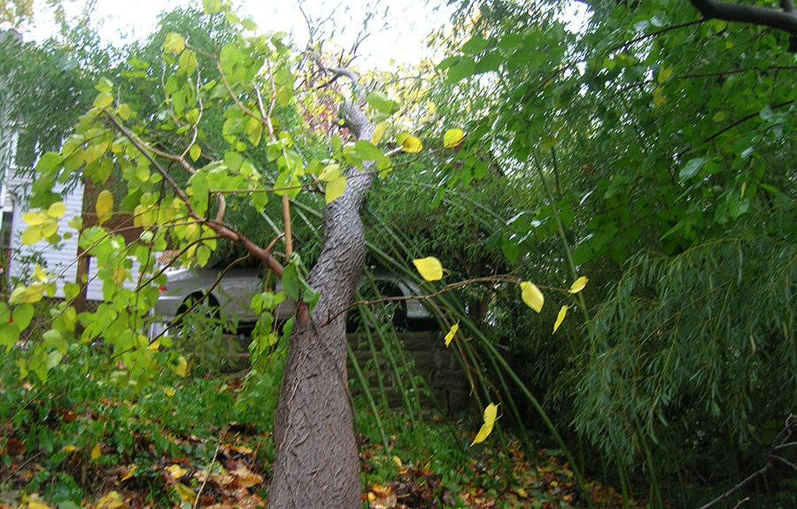 Storm Damage