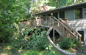 Storm Damage