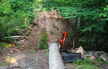 Storm Damage