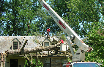 Storm Damage