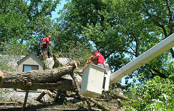 Storm Damage