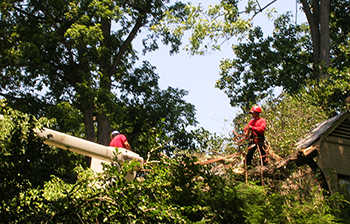 Storm Damage