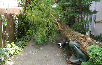 Storm Damage