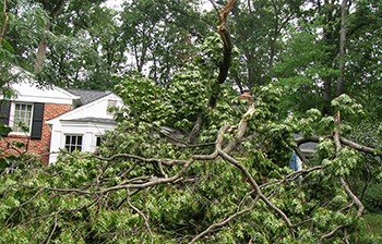 Storm Damage