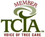 TCIA logo